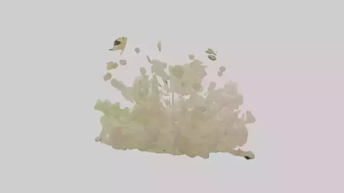 Natureinspired Wall Stickers 2