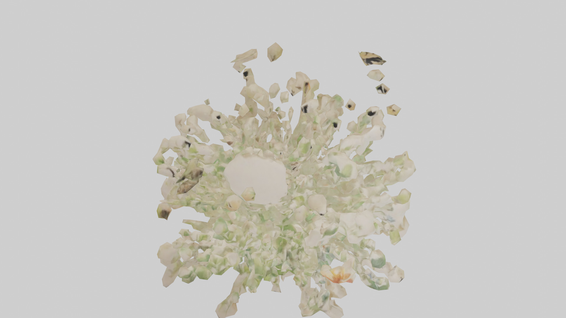 Natureinspired Wall Stickers 2 Low-poly 3D model_16