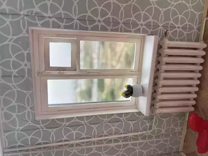 Classic Wooden Window