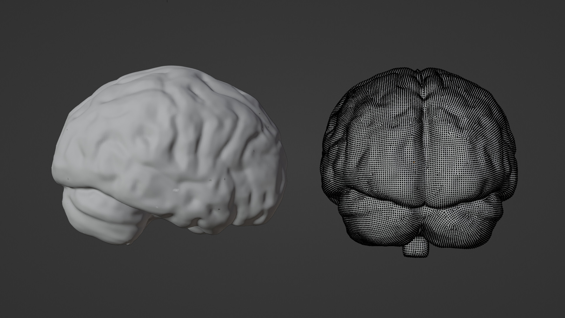 brain Low-poly 3D model_6