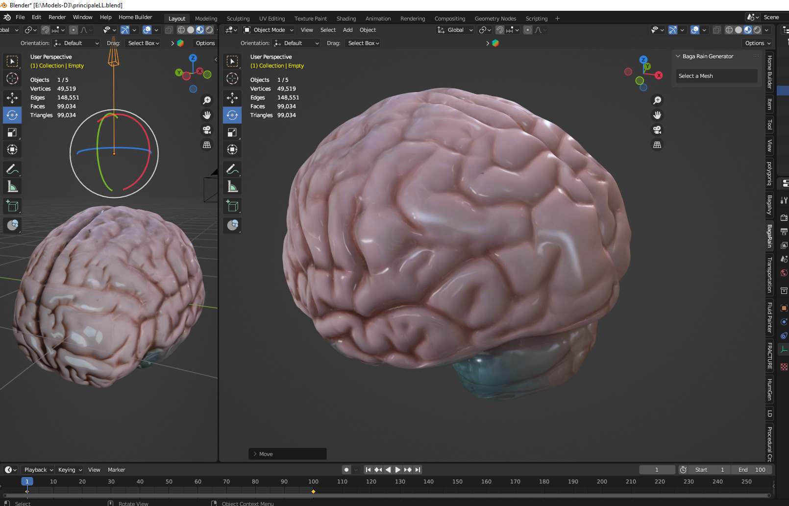 brain Low-poly 3D model_2
