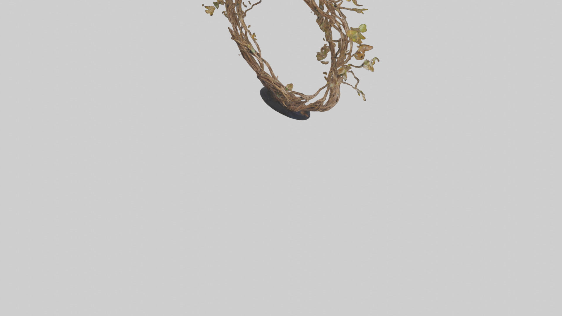 Natures Weave Sculpture model Low-poly 3D model_5