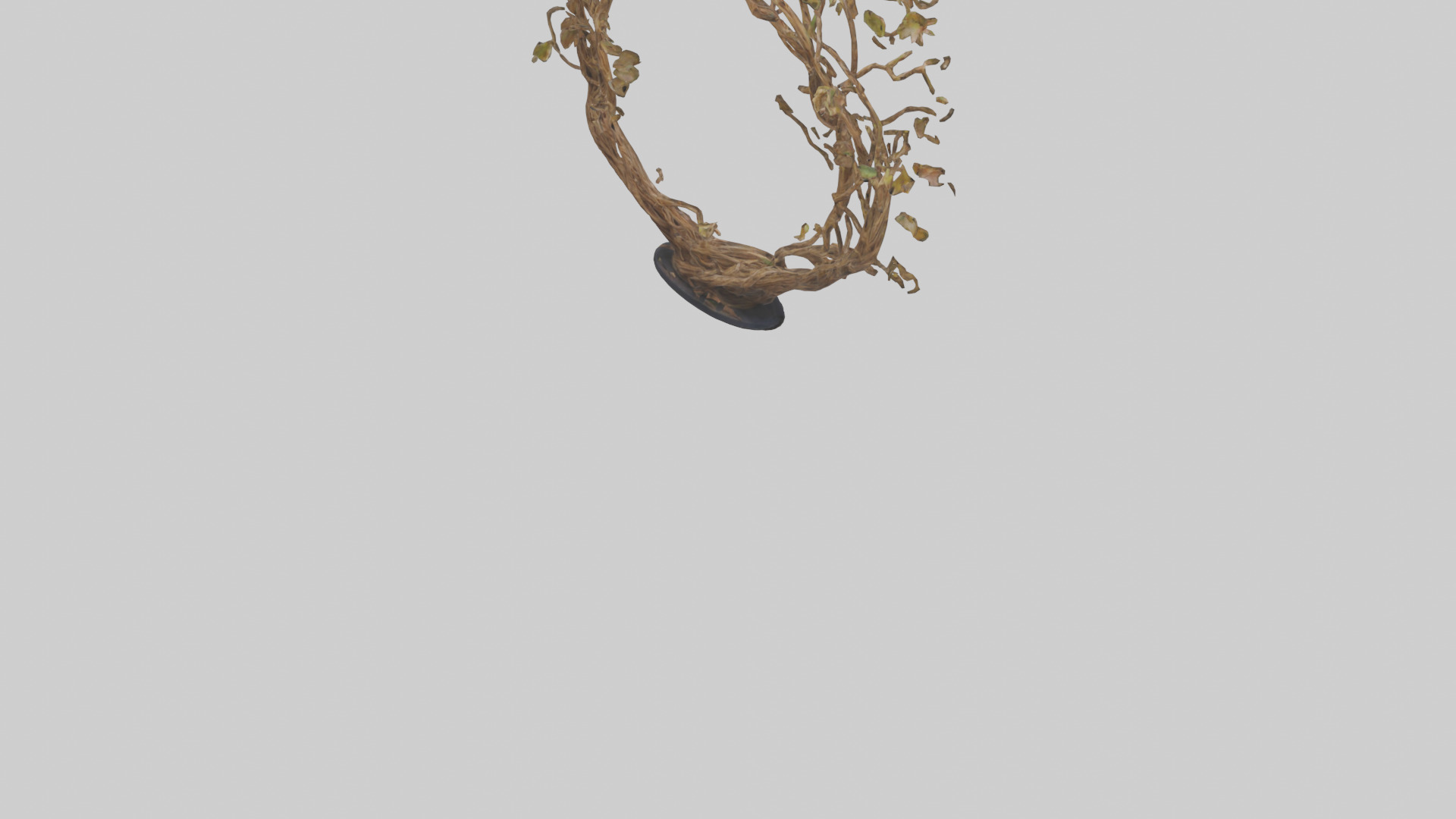 Natures Weave Sculpture model Low-poly 3D model_4