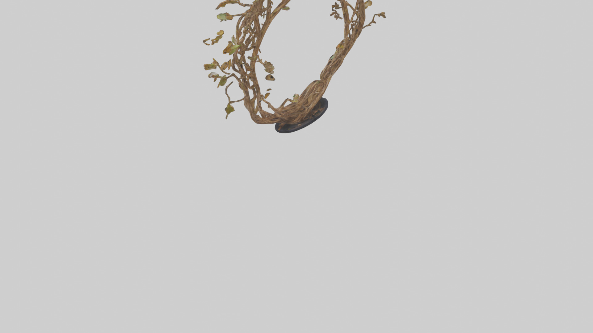 Natures Weave Sculpture model Low-poly 3D model_3