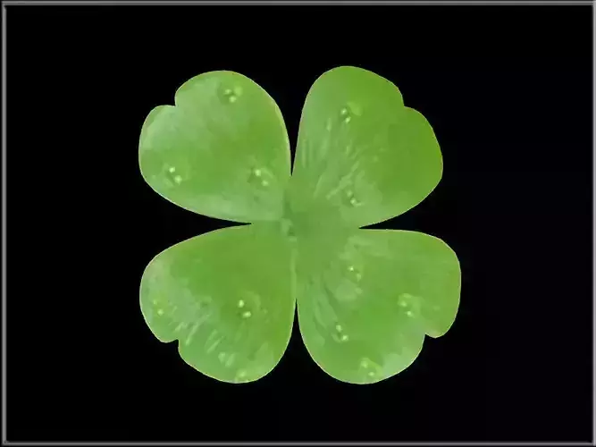 Shamrock Low-poly 3D model