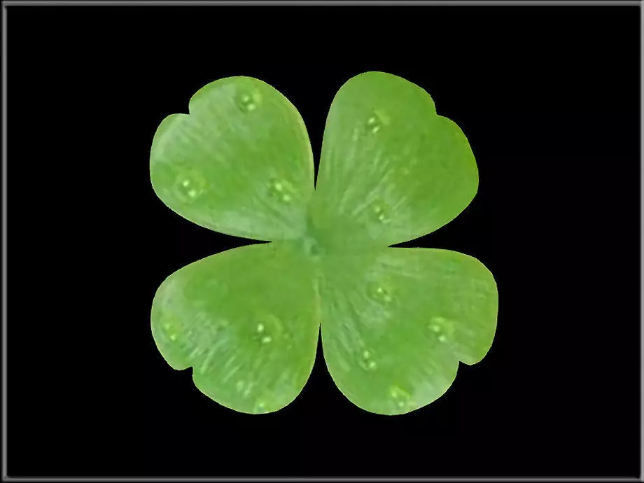 Shamrock Low-poly 3D model_0