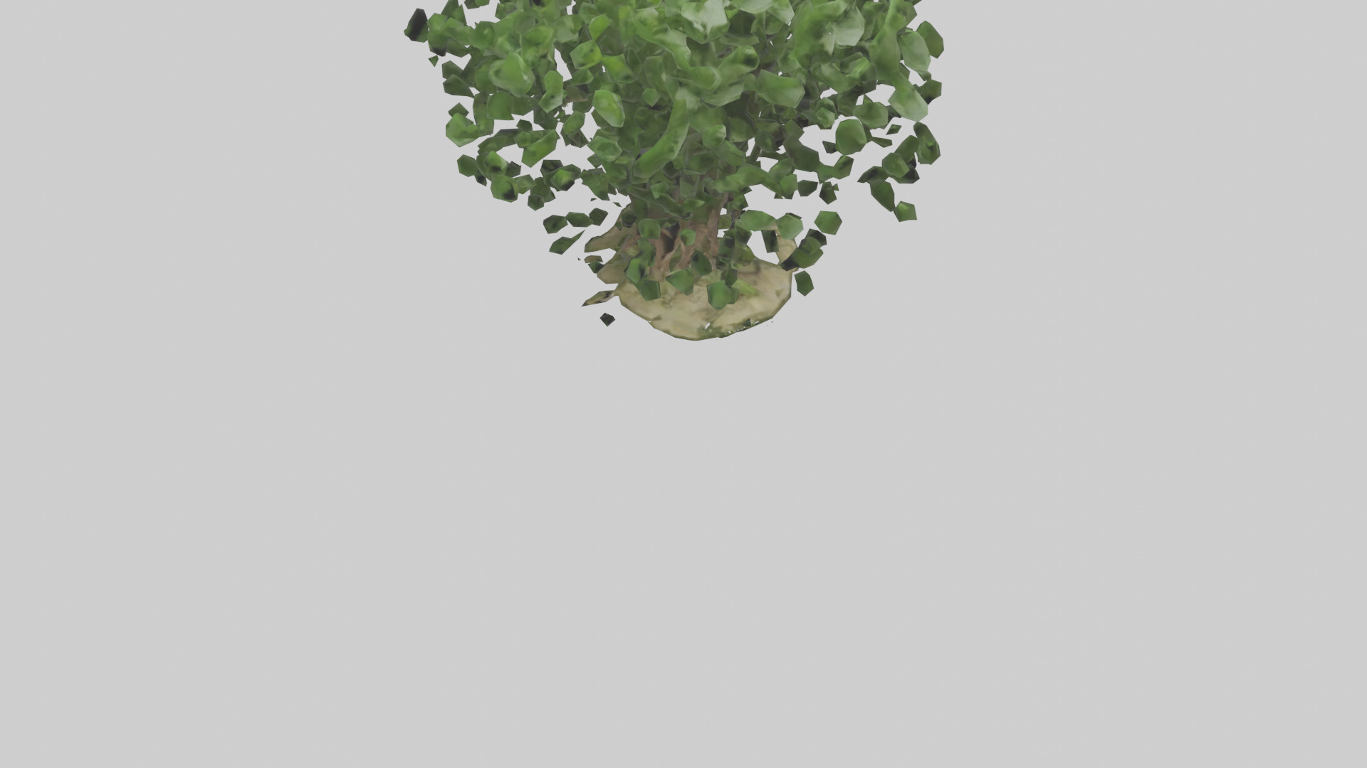 Nettle tree model Low-poly 3D model_6