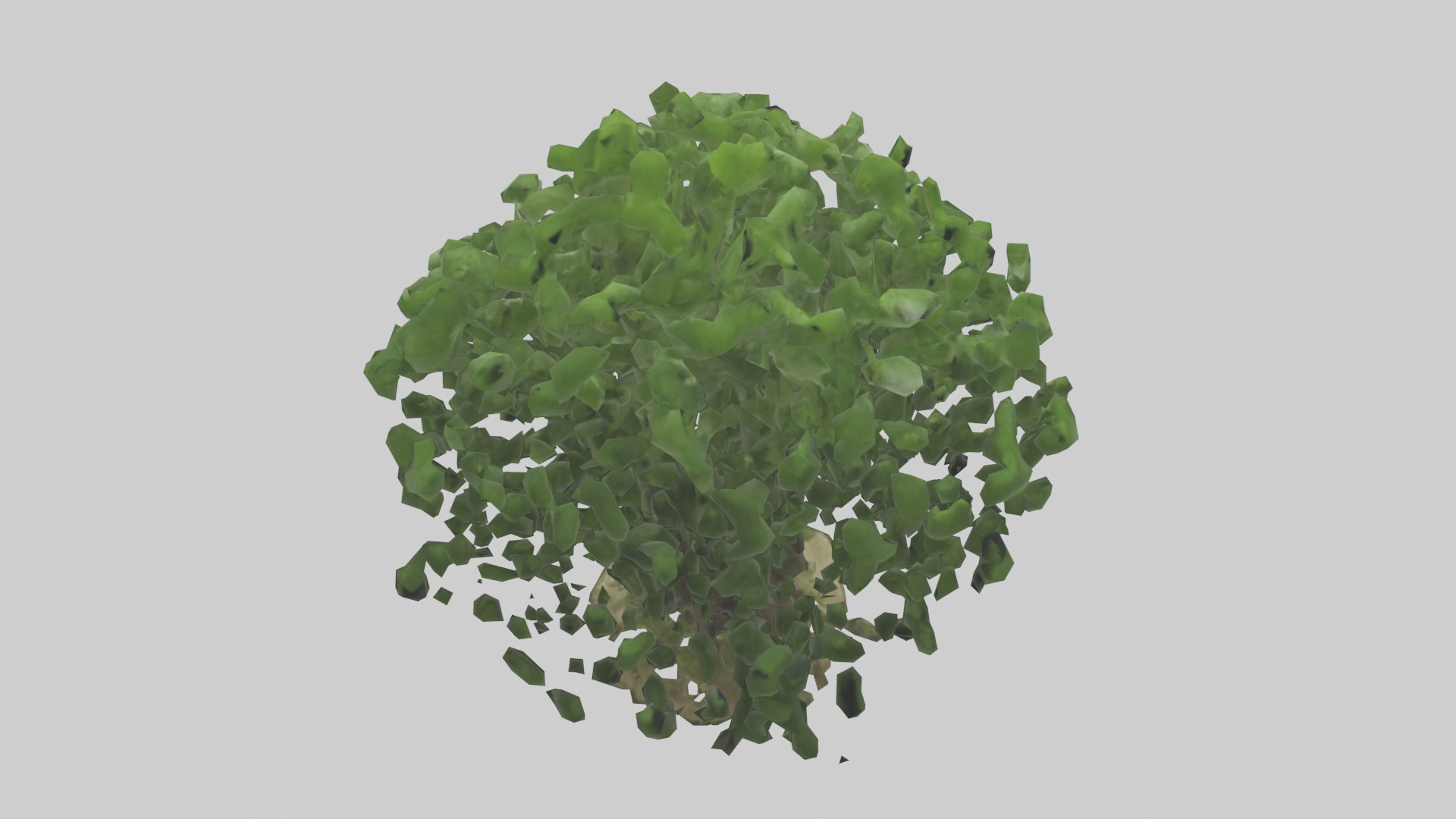 Nettle tree model Low-poly 3D model_15