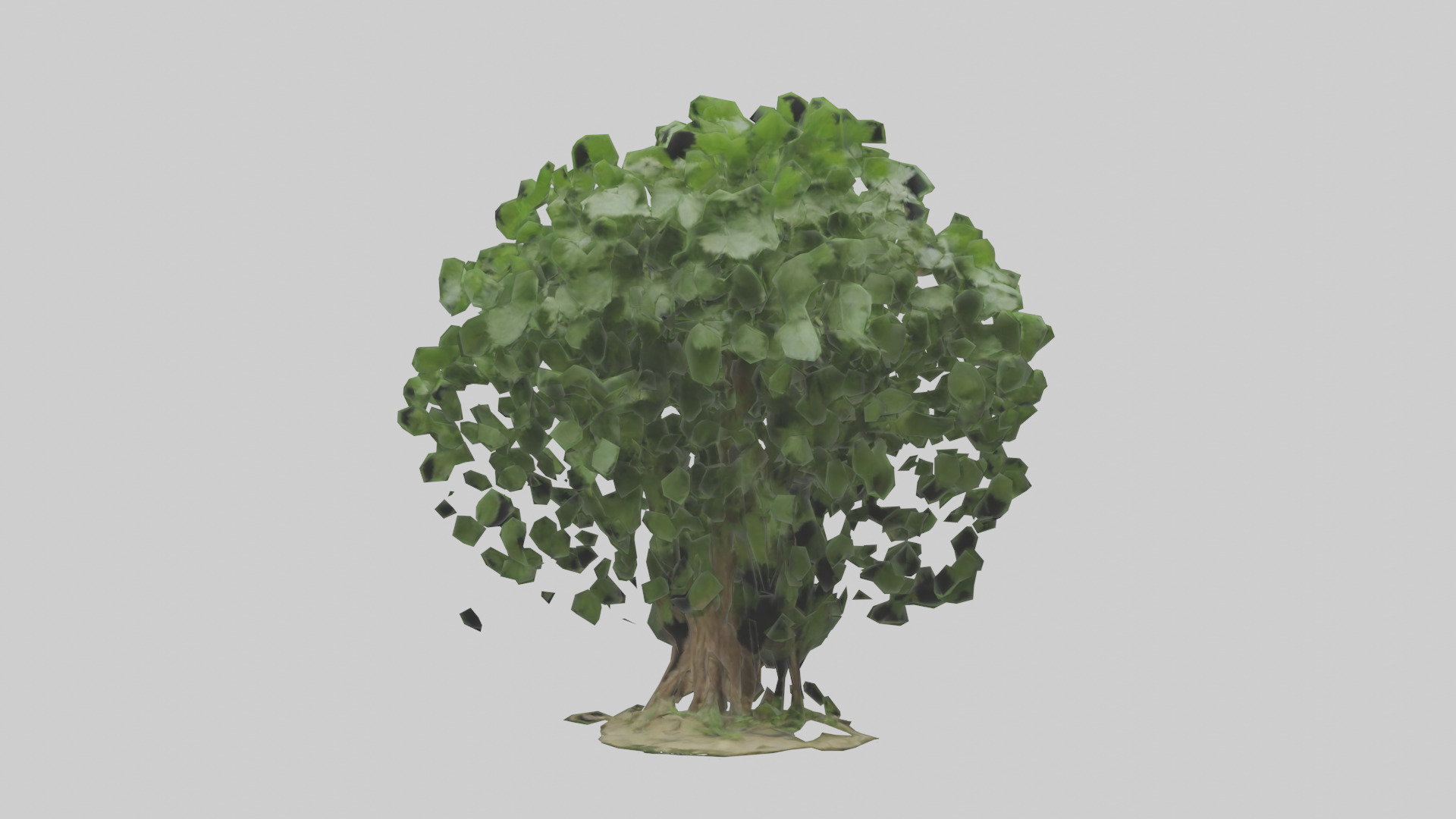 Nettle tree model Low-poly 3D model_9