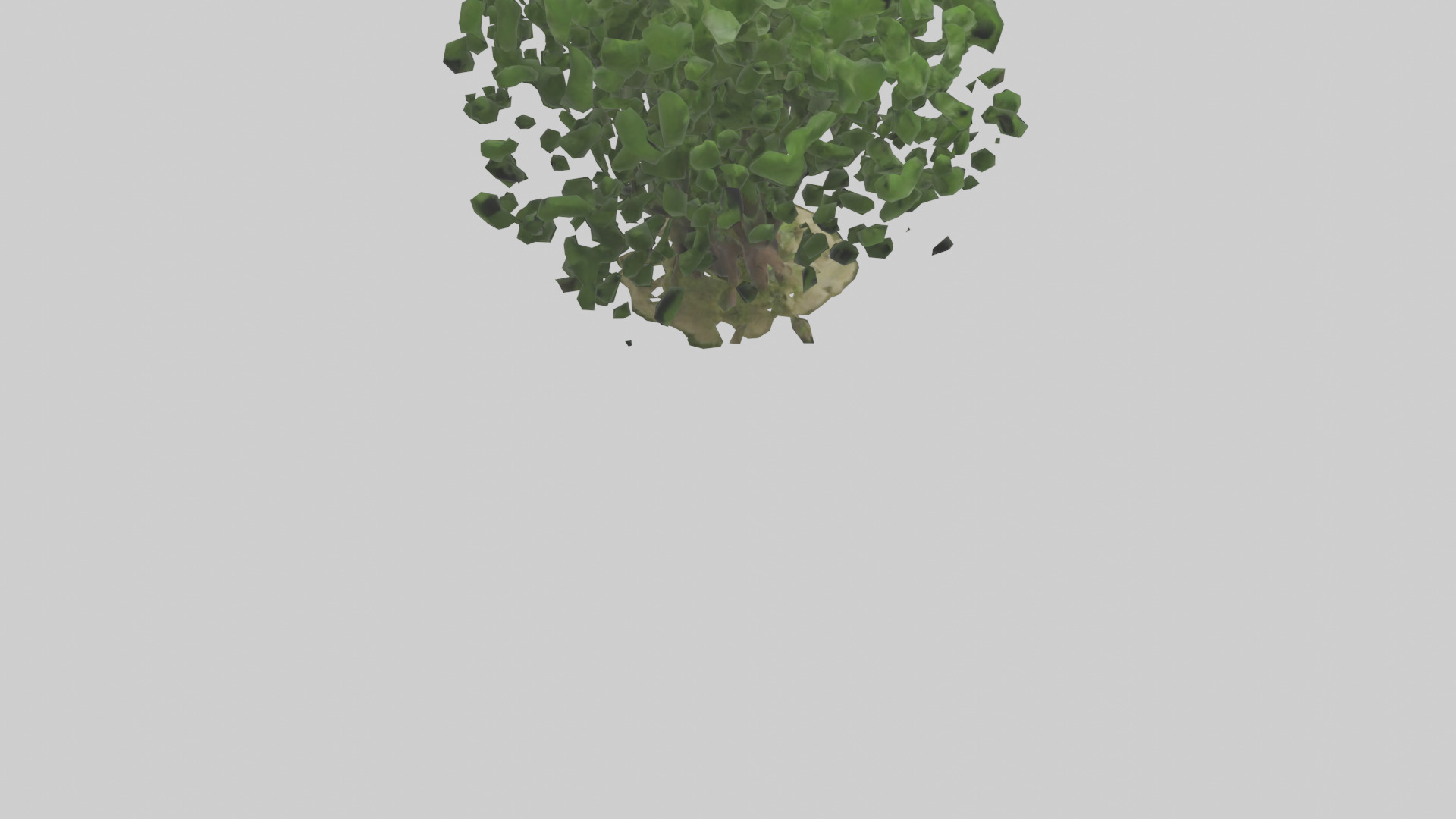 Nettle tree model Low-poly 3D model_4