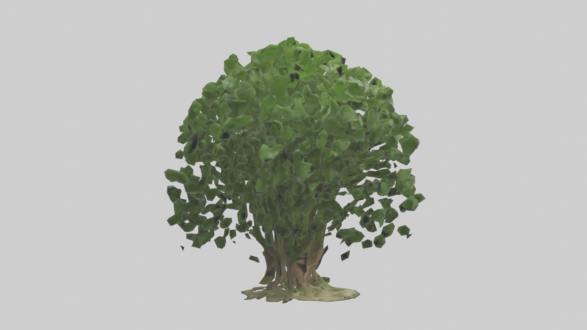 Nettle tree model Low-poly 3D model_13