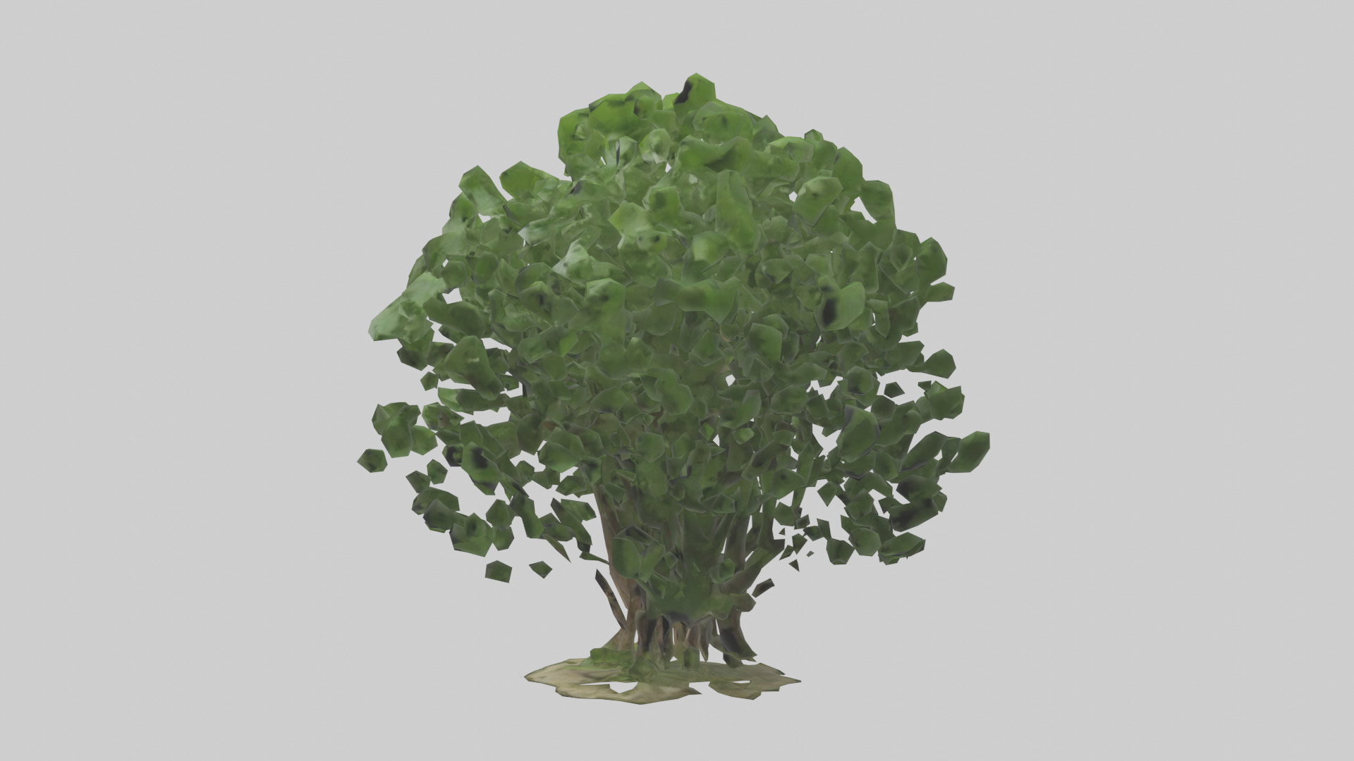 Nettle tree model Low-poly 3D model_12