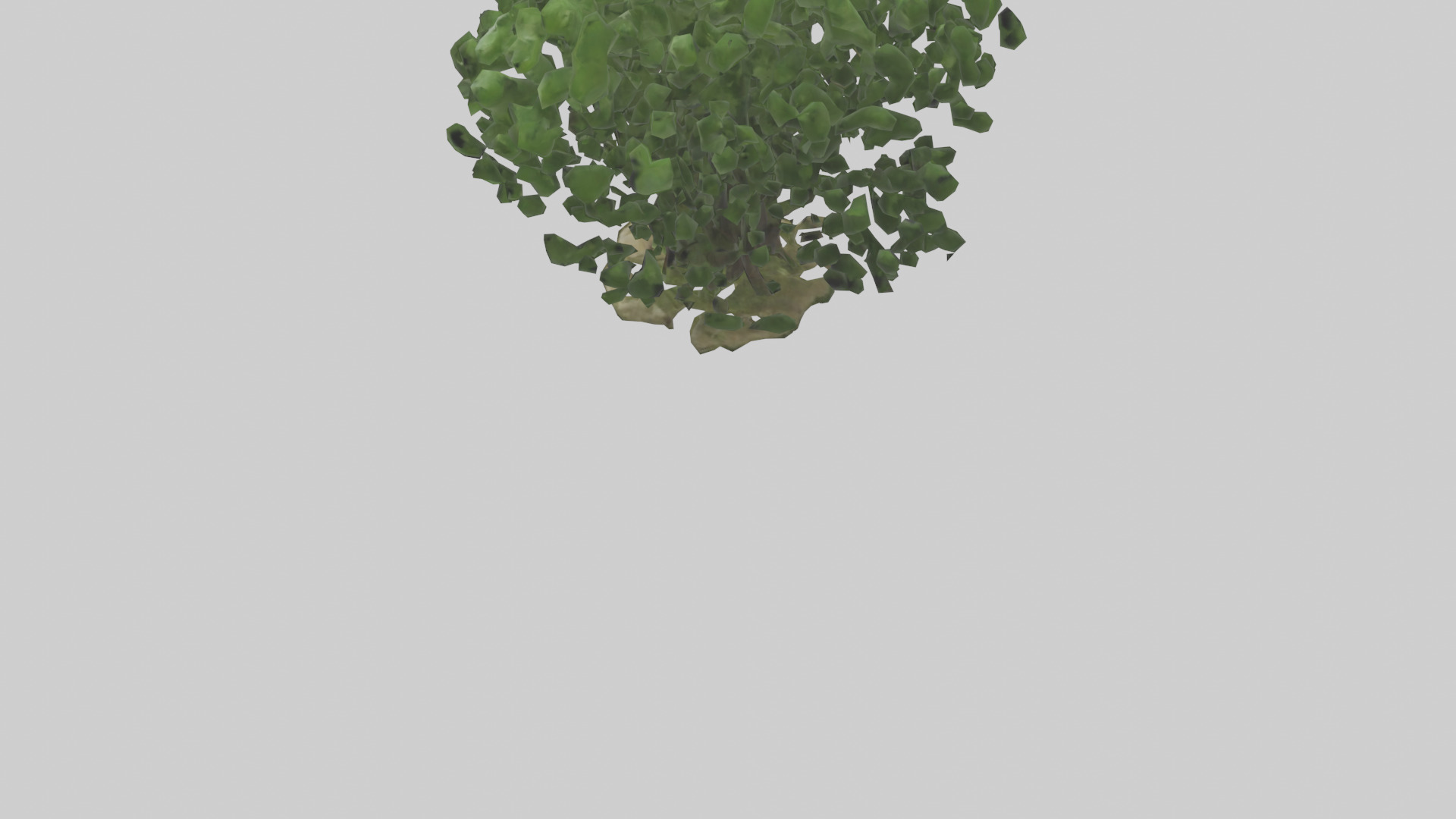 Nettle tree model Low-poly 3D model_3