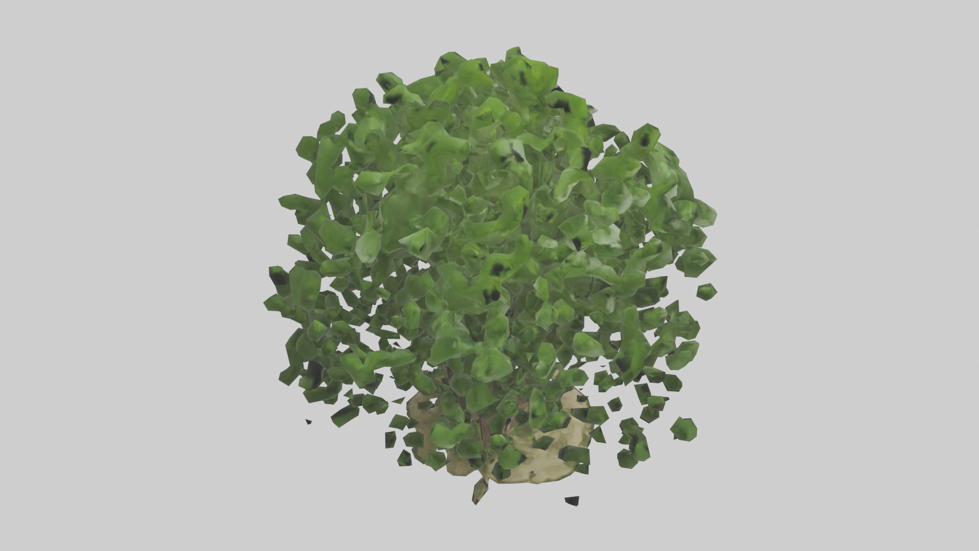 Nettle tree model Low-poly 3D model_18