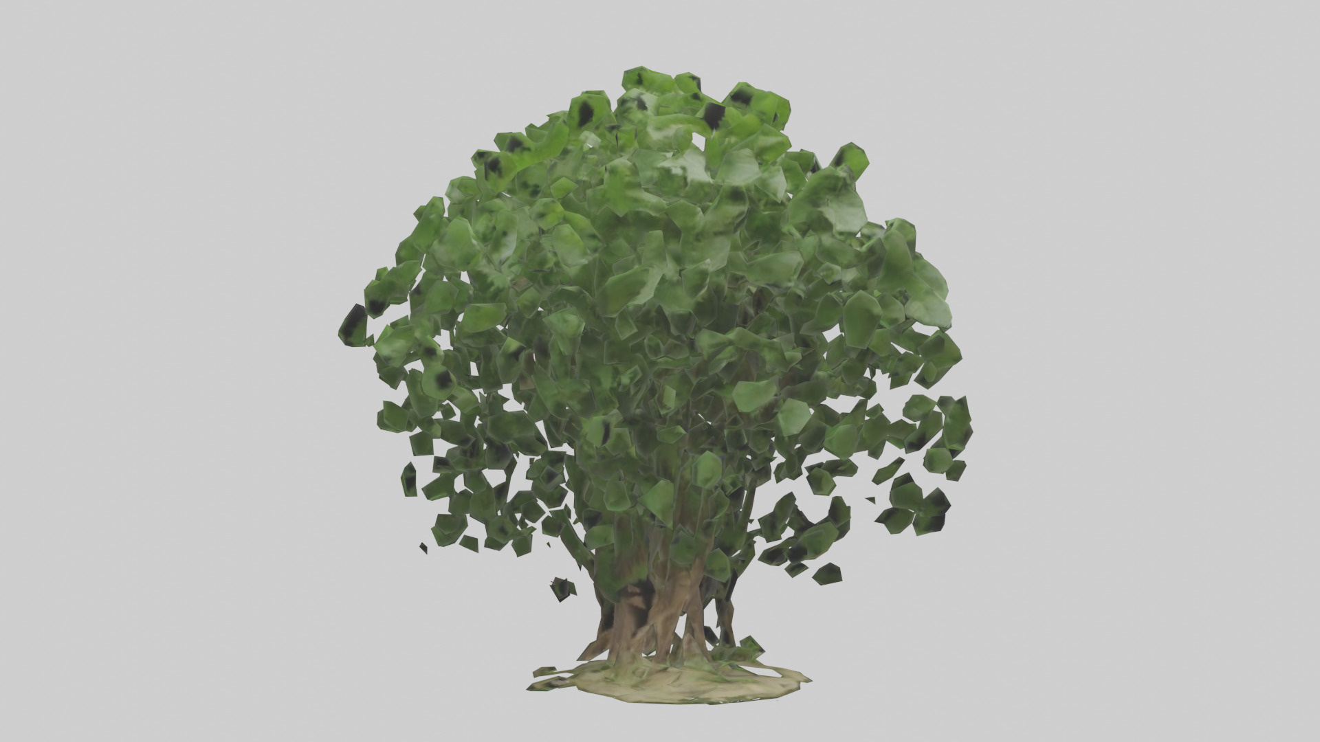 Nettle tree model Low-poly 3D model_11