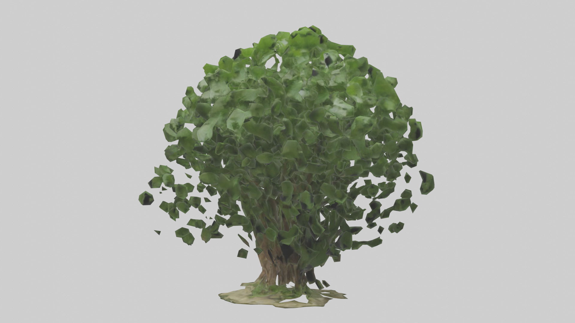 Nettle tree model Low-poly 3D model_8