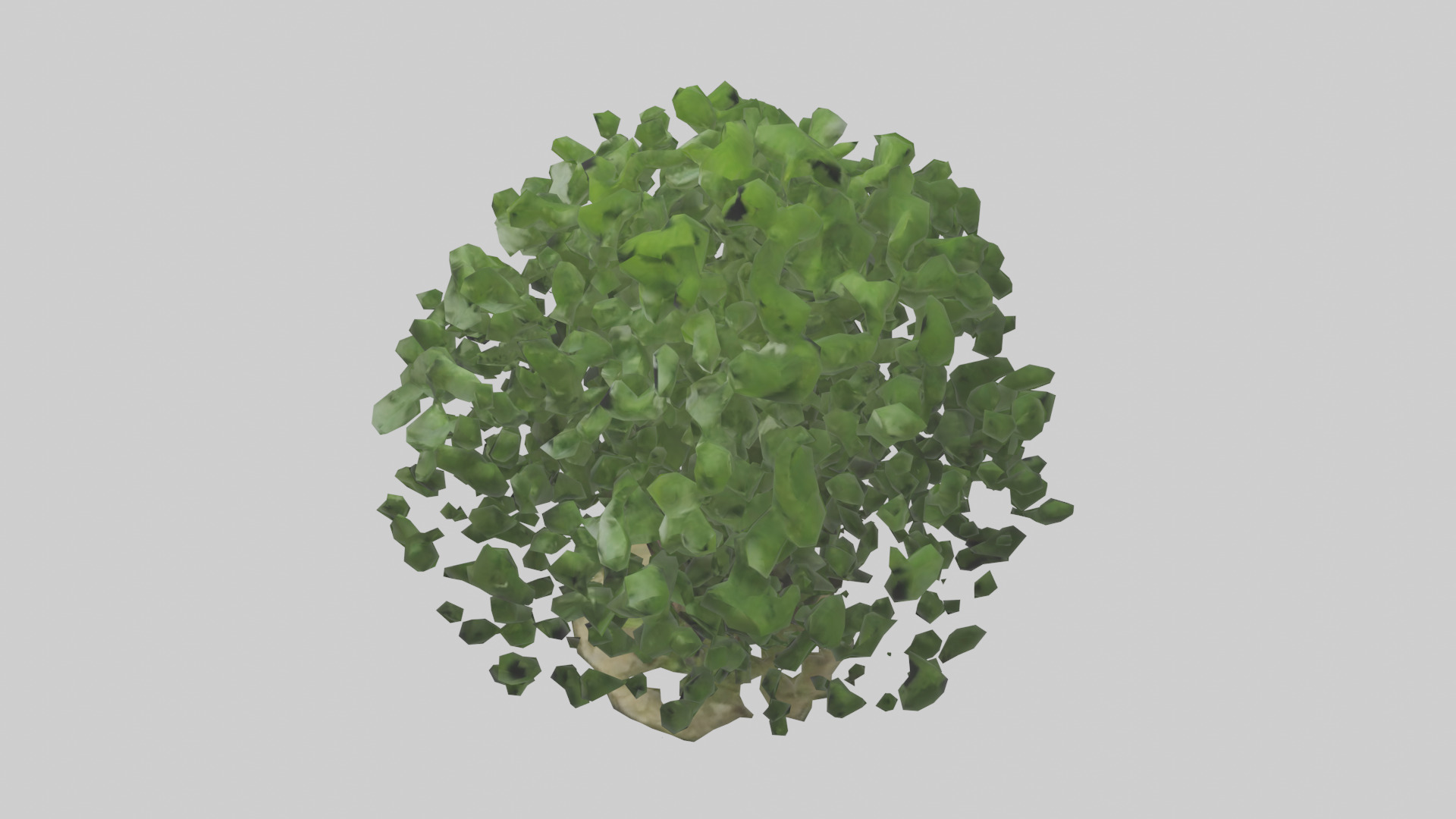 Nettle tree model Low-poly 3D model_17