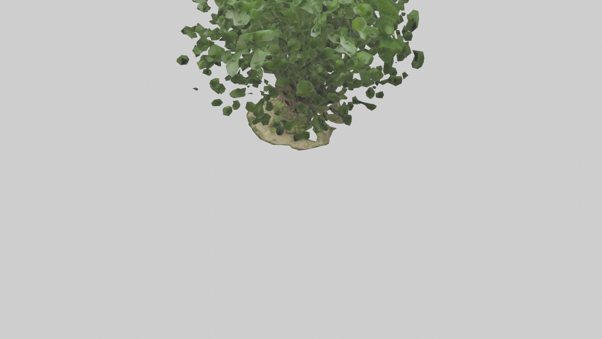 Nettle tree model Low-poly 3D model_5