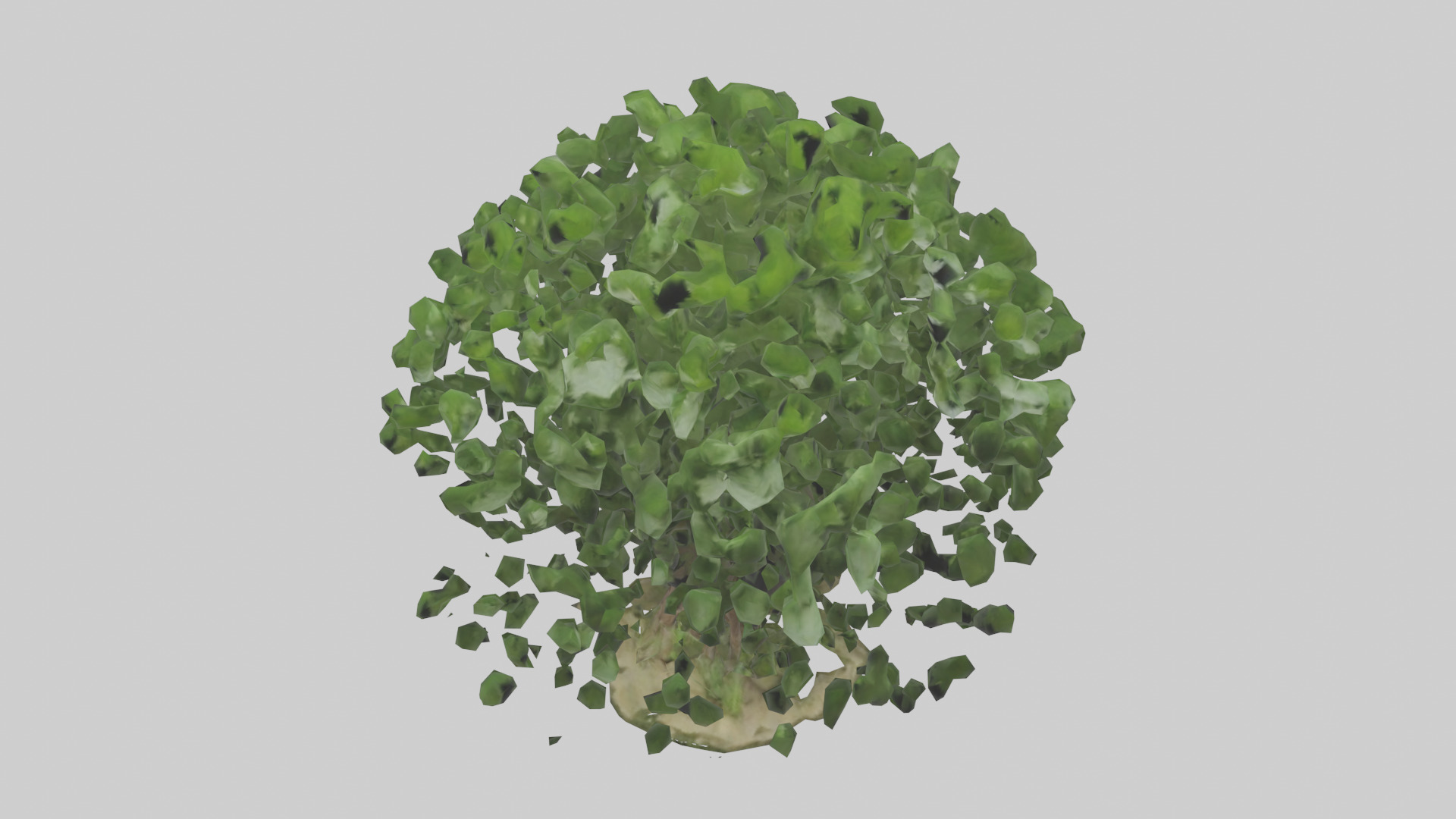 Nettle tree model Low-poly 3D model_16