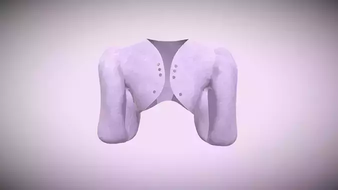 Ladies Pouf Sleeve-Velvet In Low Poly