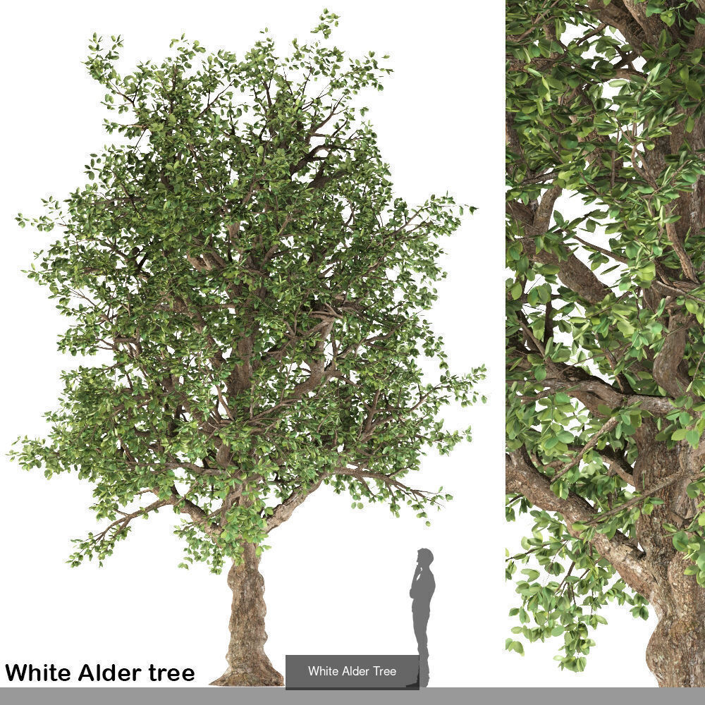 16 high quality products 3D Model Collection_12