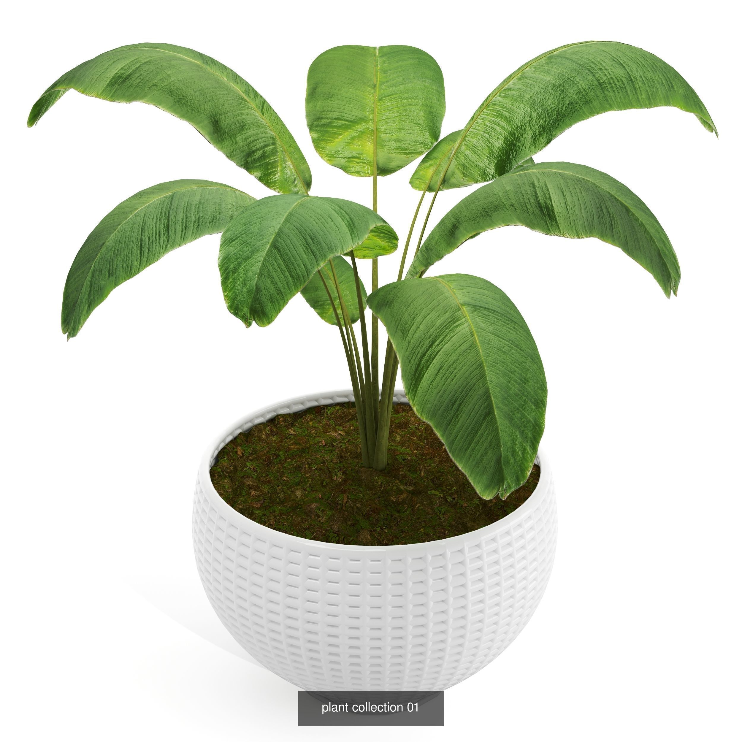 16 high quality products 3D Model Collection_4