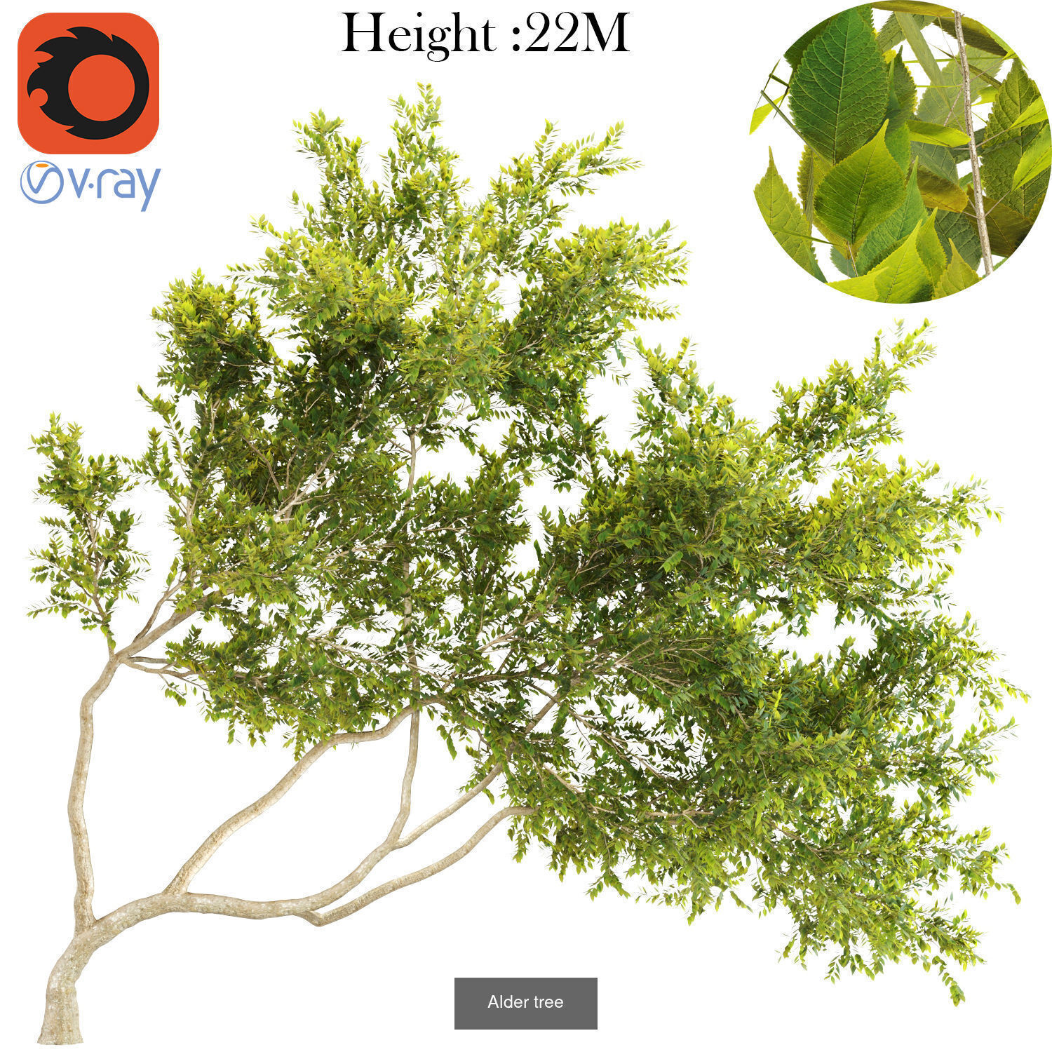 16 high quality products 3D Model Collection_7