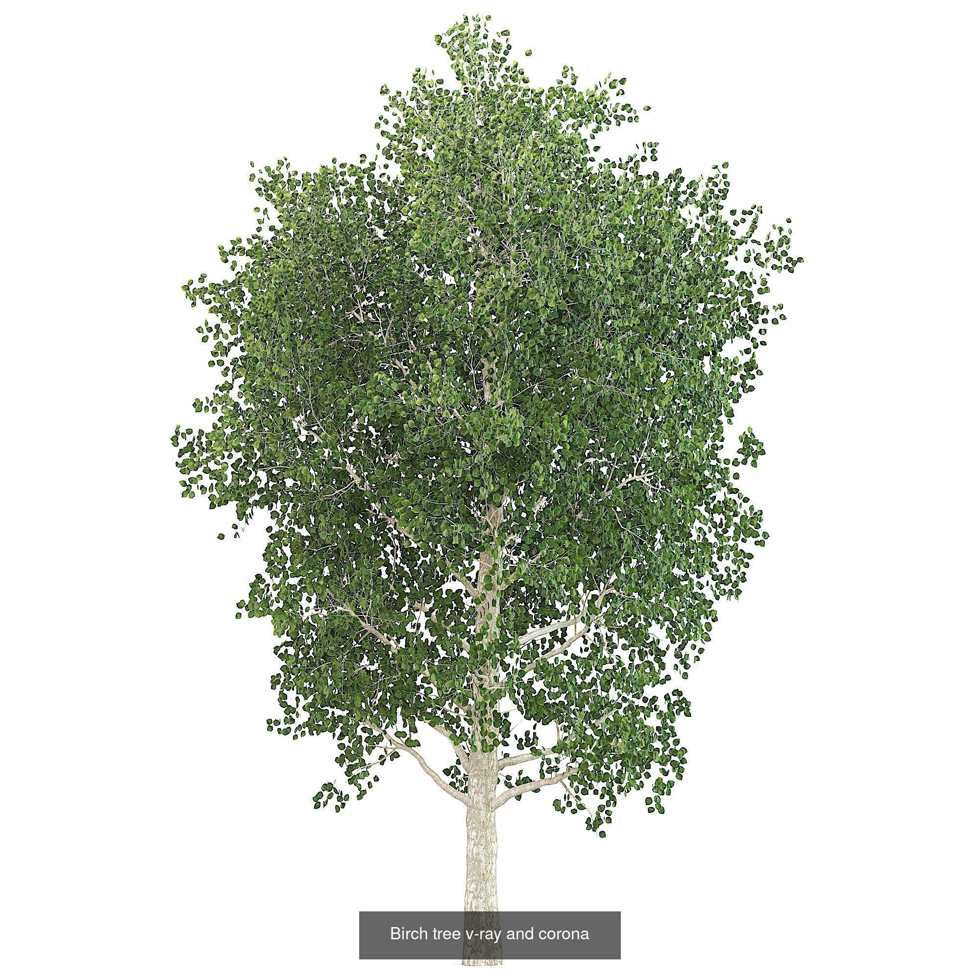 16 high quality products 3D Model Collection_6