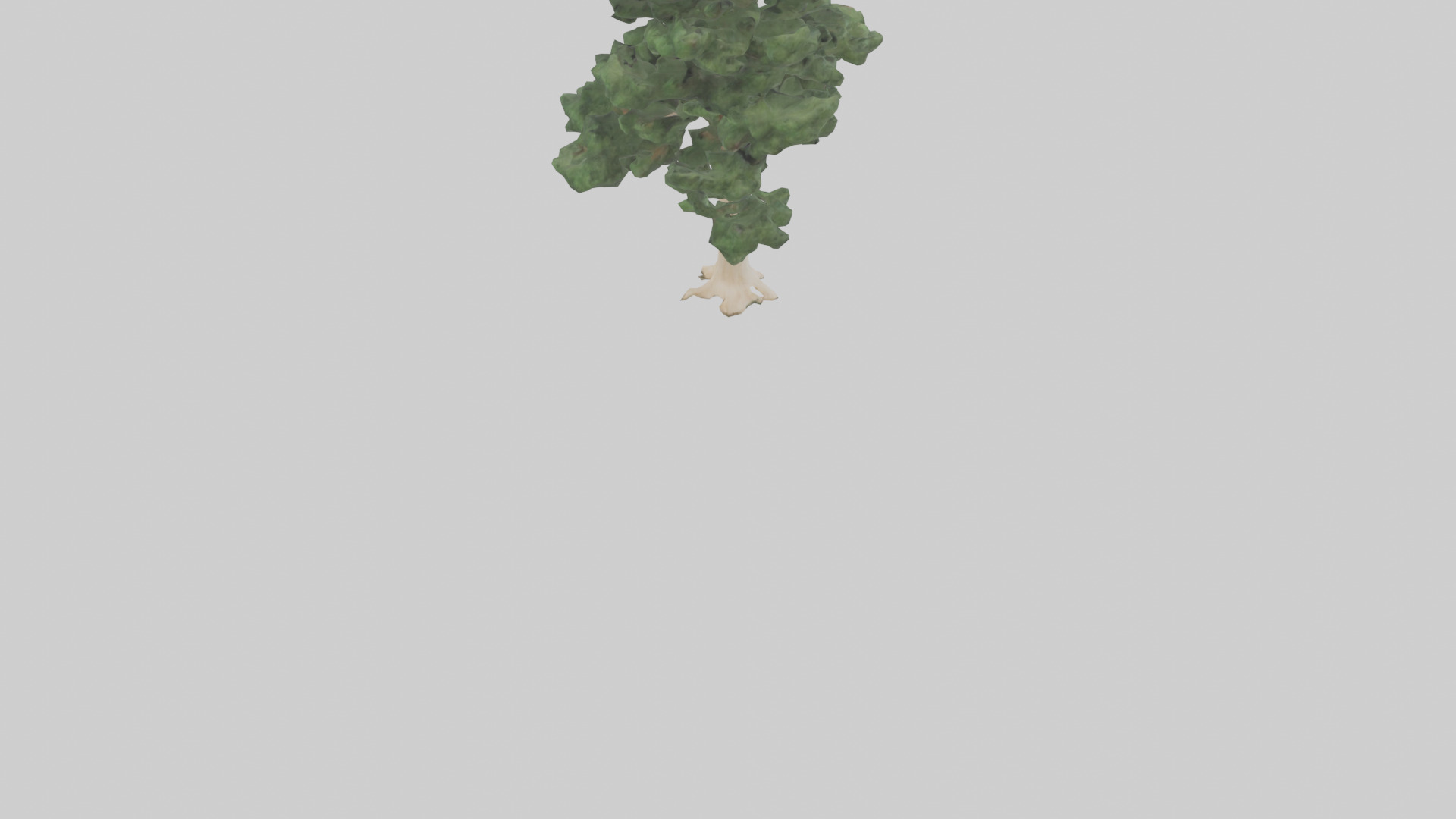 Northern White Cedar tree model Low-poly 3D model_4
