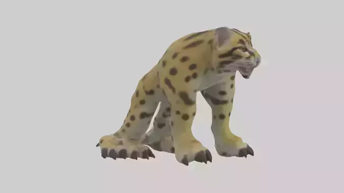 Ocelot Paws Model 3D model
