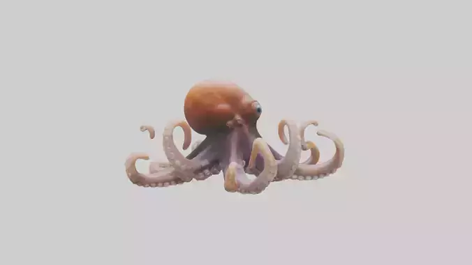 Octopus walking on land model