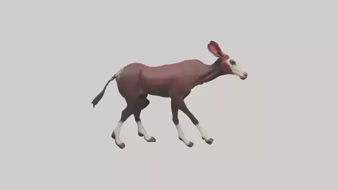 Okapi walking through brush model
