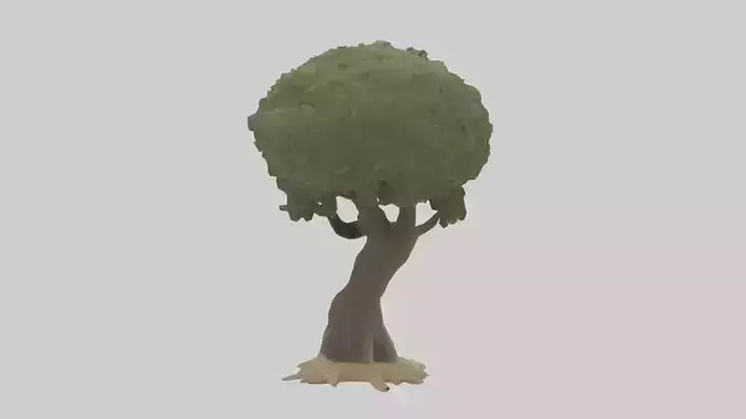 Olive tree model