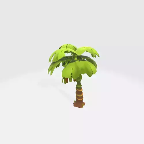 Palm Tree Ideal for Tropical