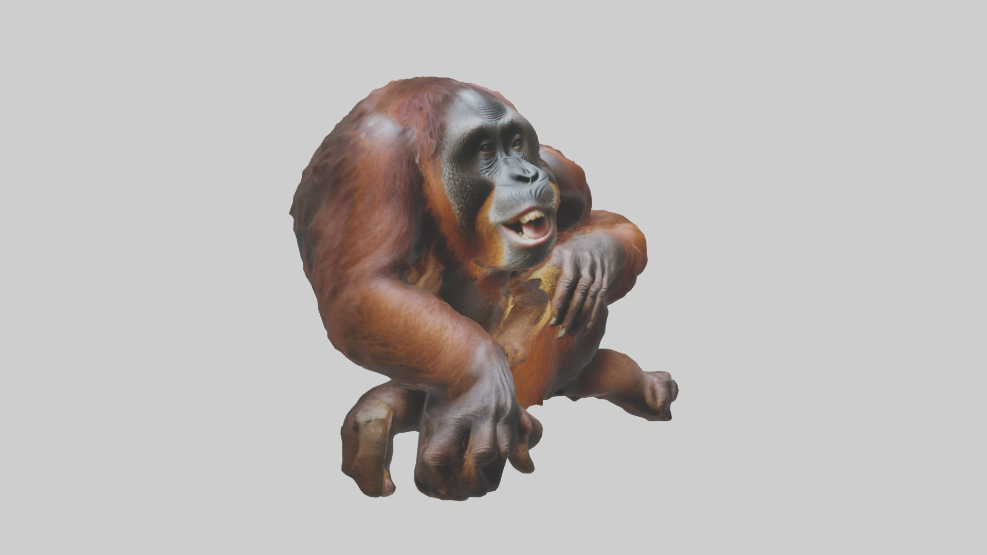 Orangutan grooming model 3D model_7