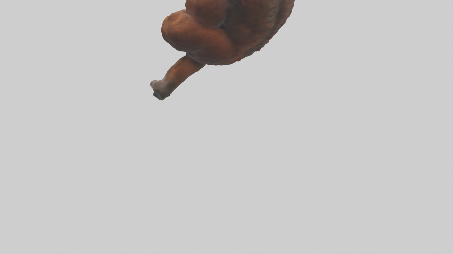 Orangutan grooming model 3D model_3