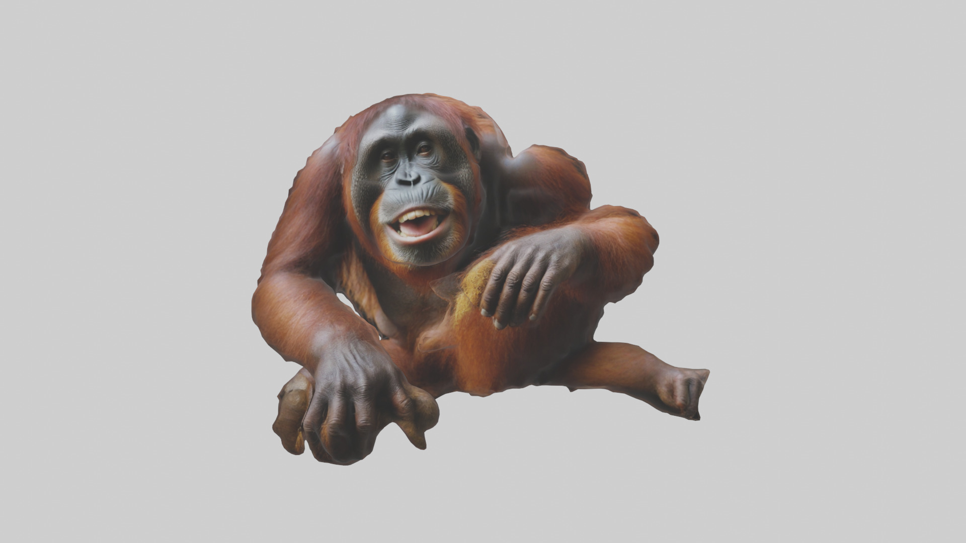 Orangutan grooming model 3D model_9