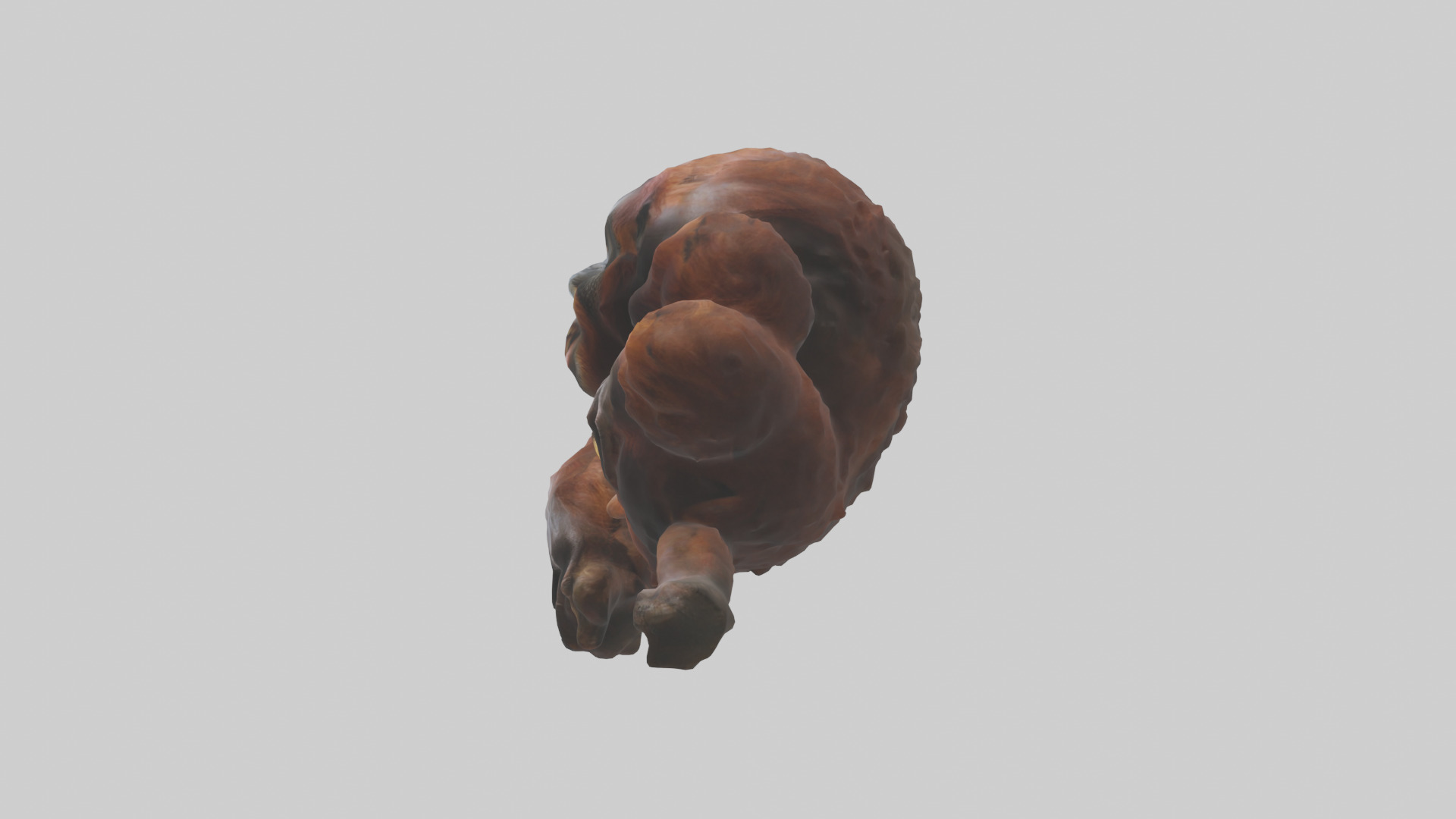 Orangutan grooming model 3D model_12