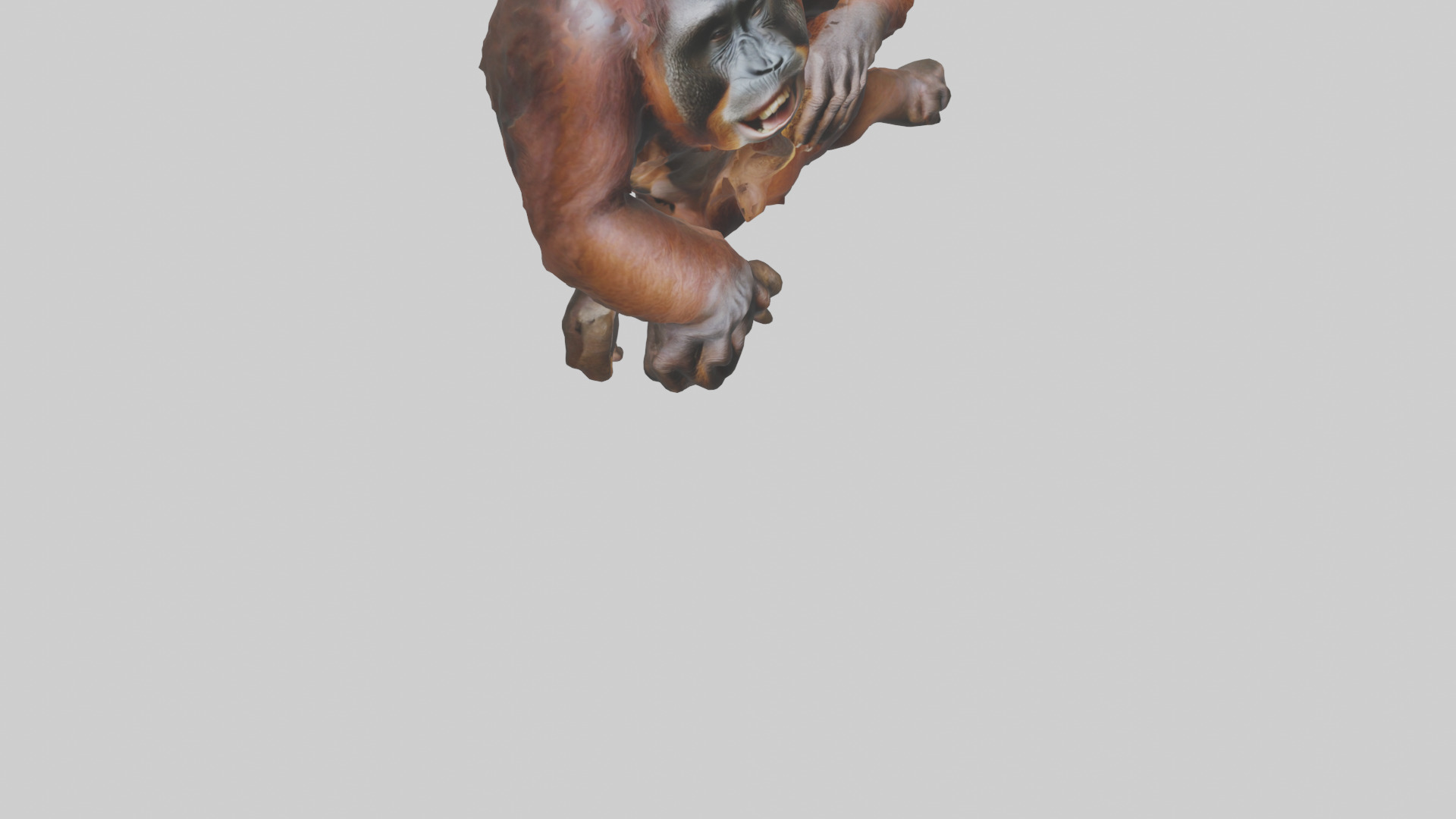 Orangutan grooming model 3D model_6