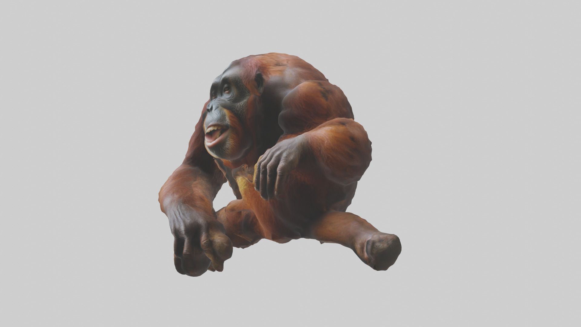 Orangutan grooming model 3D model_8