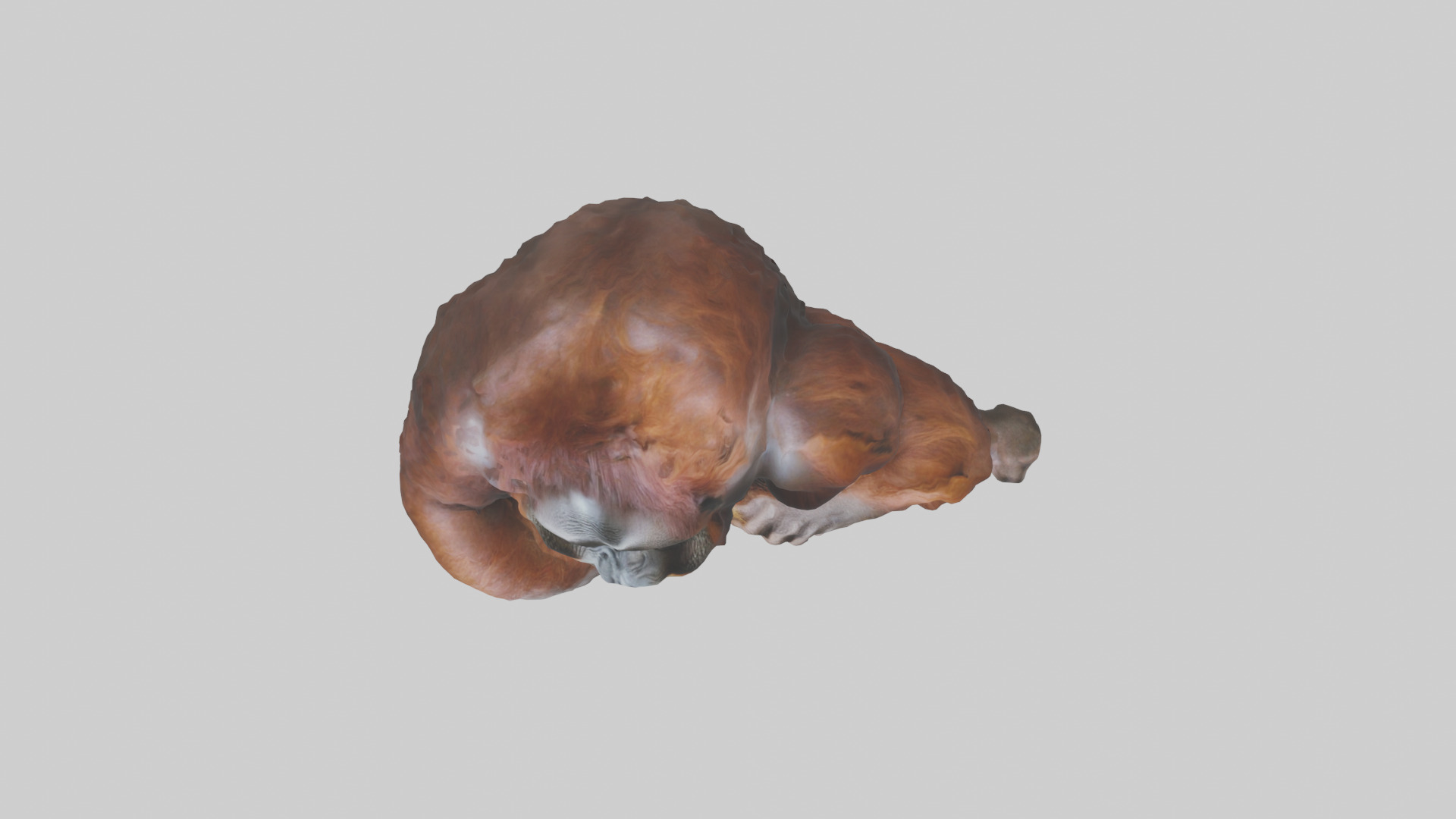 Orangutan grooming model 3D model_14