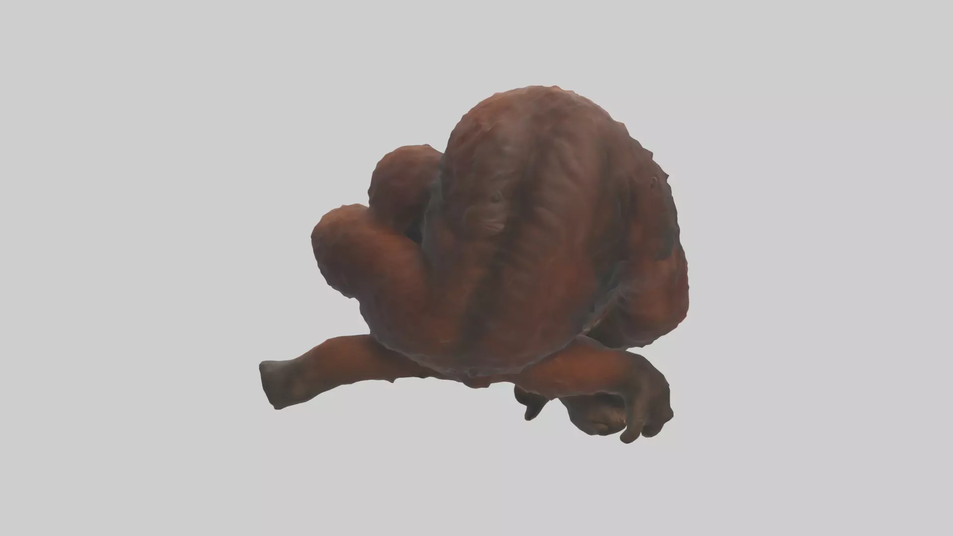Orangutan grooming model 3D model_0