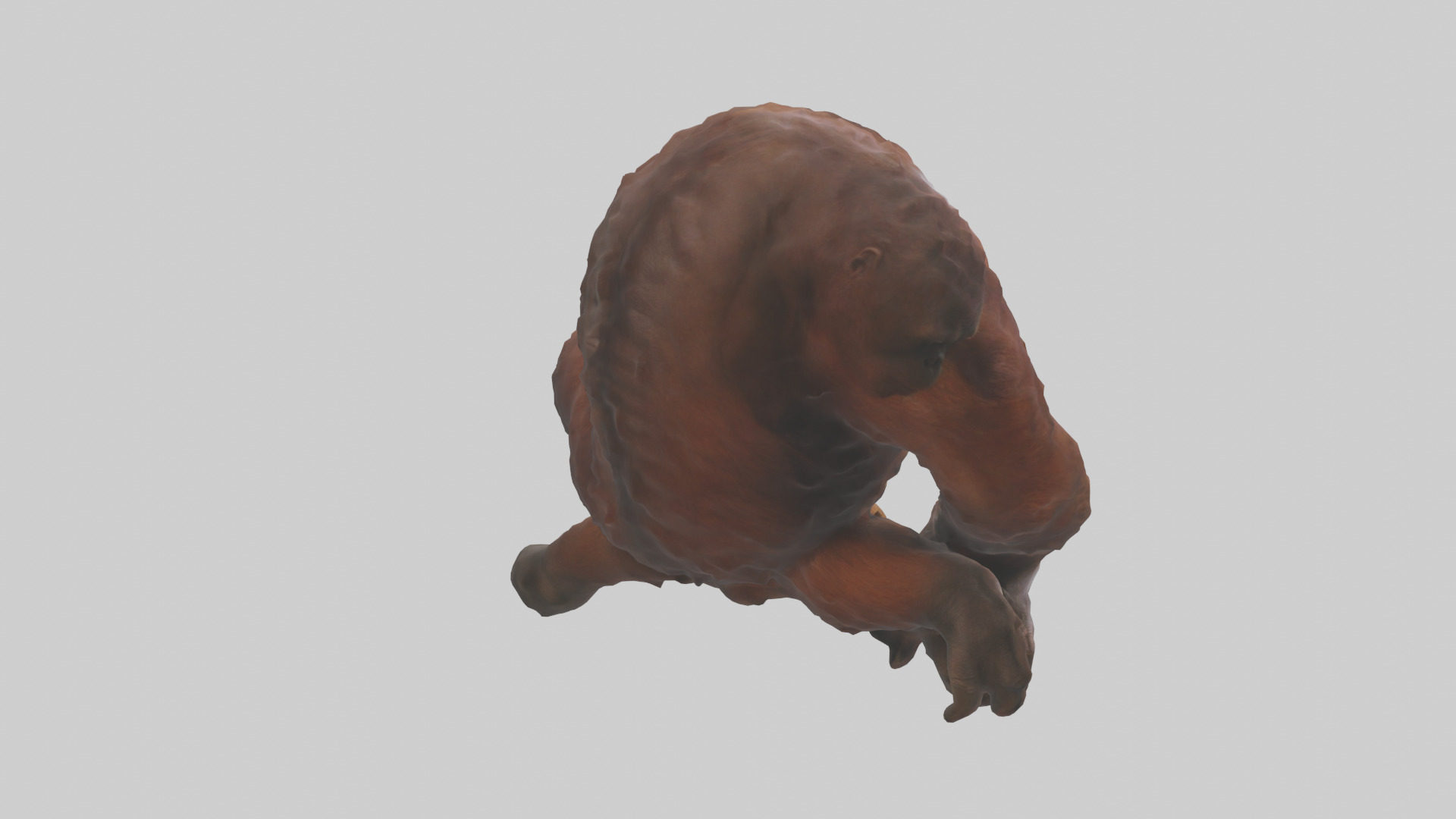 Orangutan grooming model 3D model_2