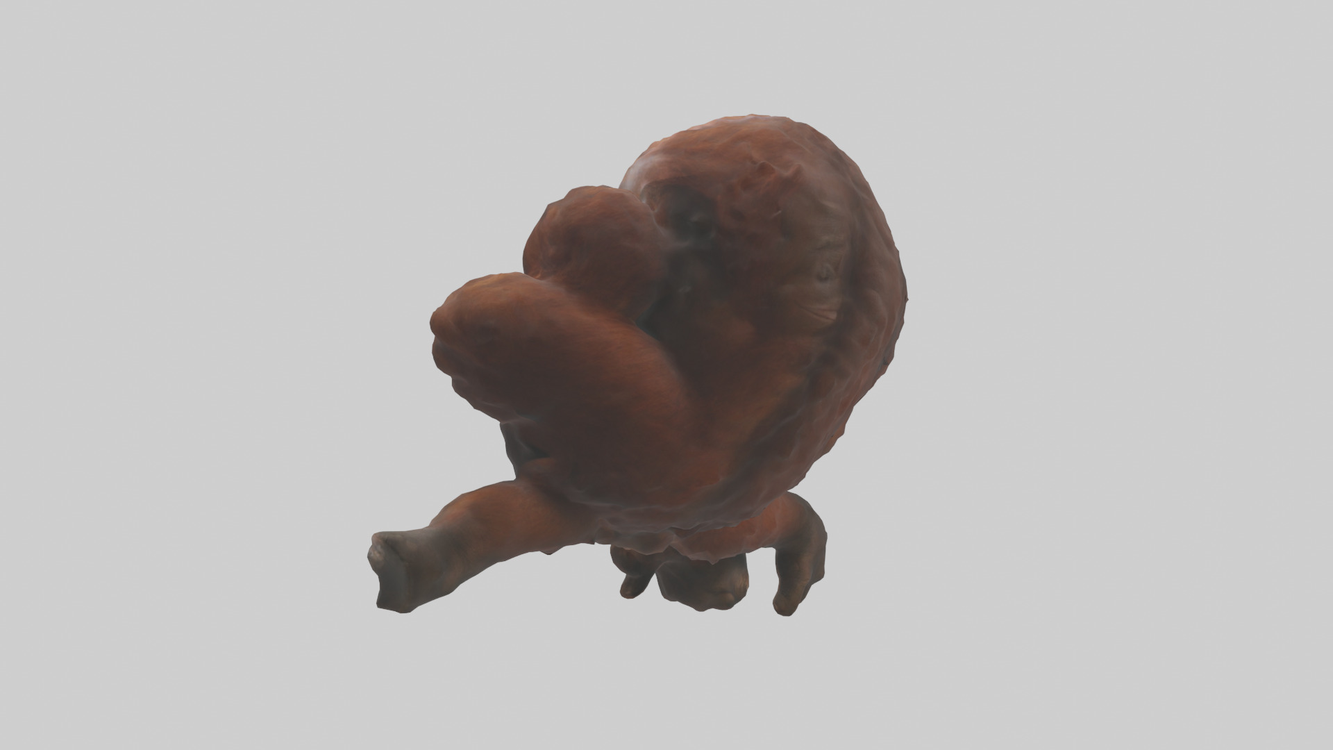 Orangutan grooming model 3D model_1