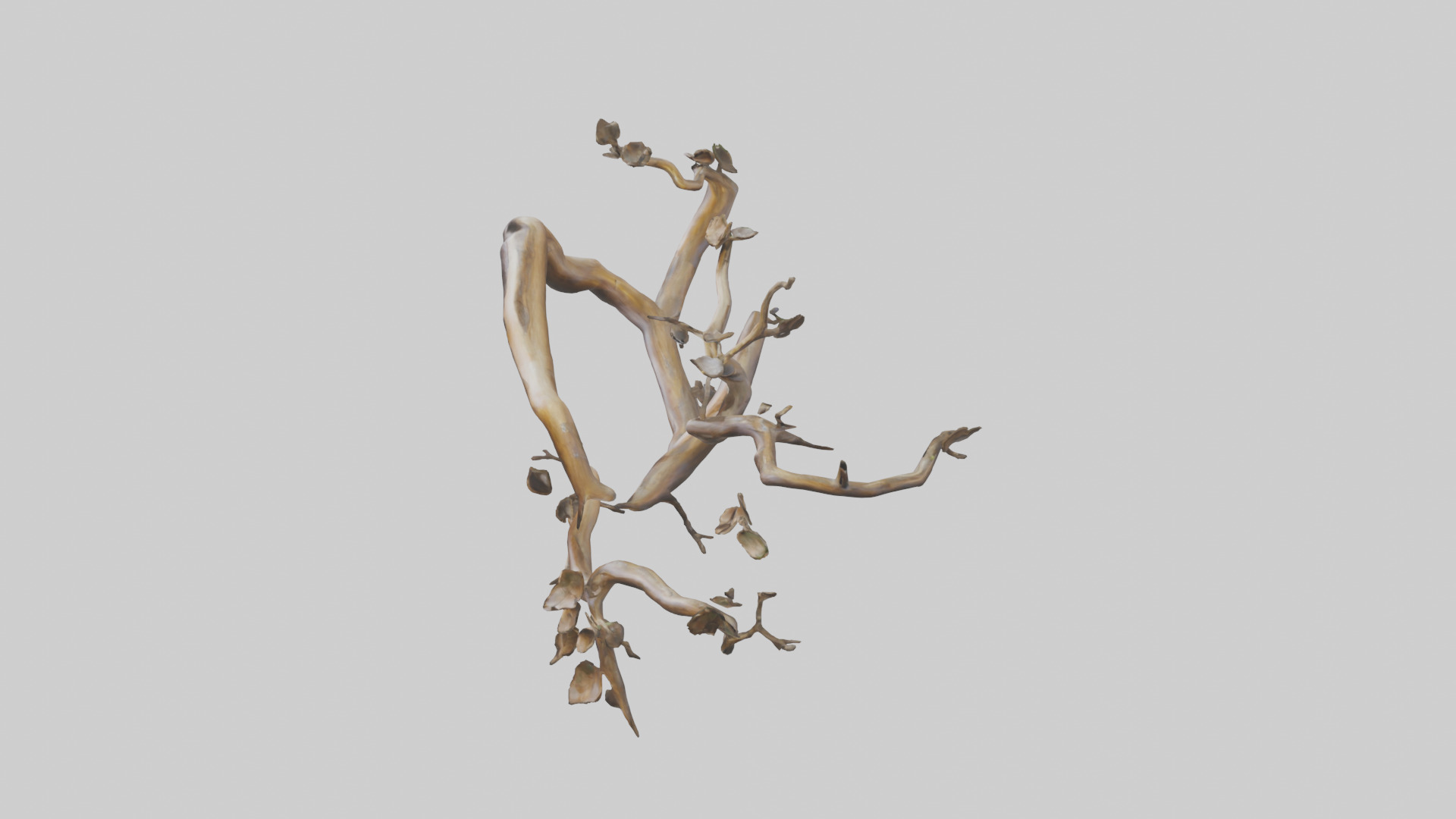 Organic Flow Branch Sculpture model 3D model_17