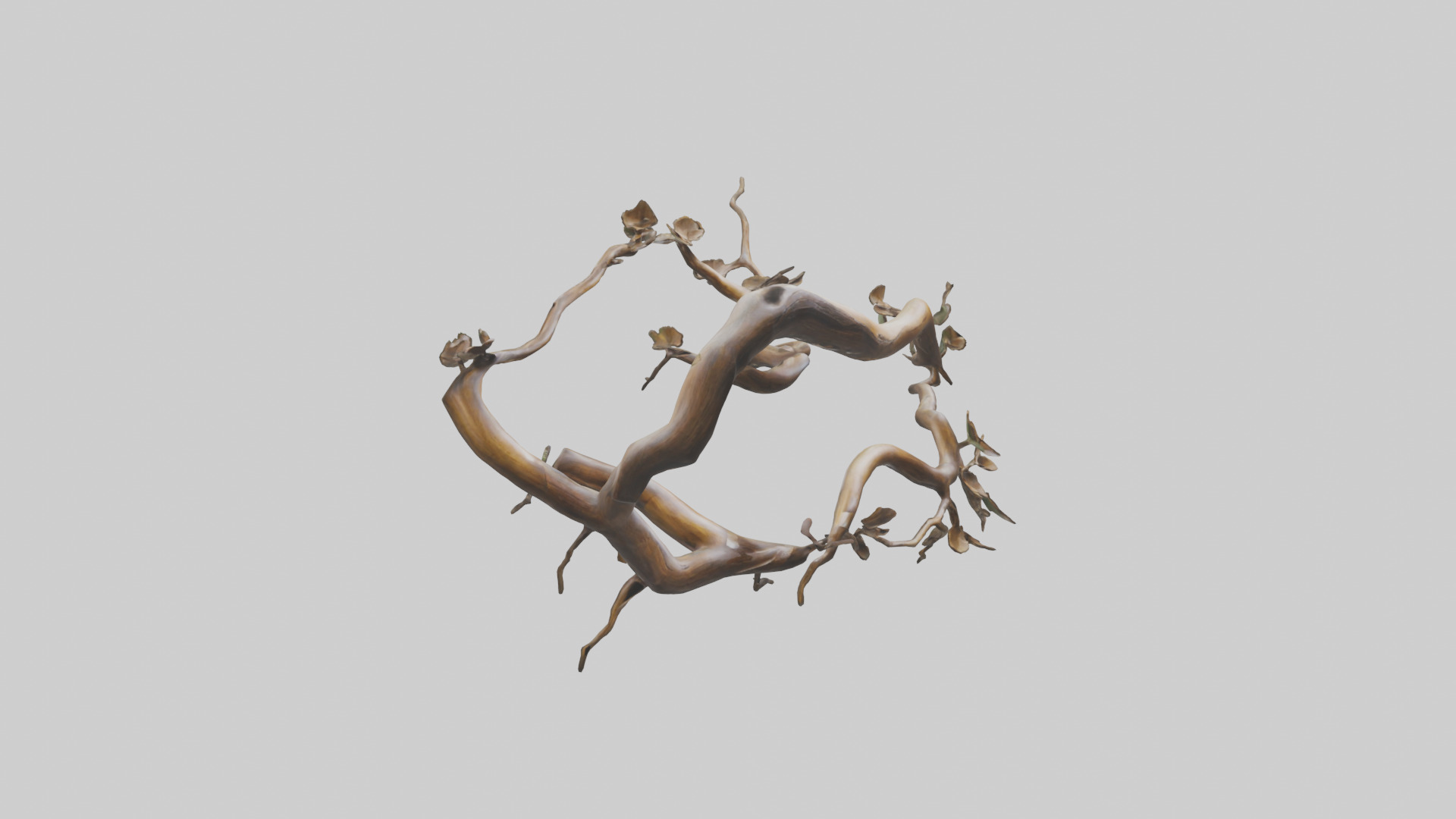 Organic Flow Branch Sculpture model 3D model_11