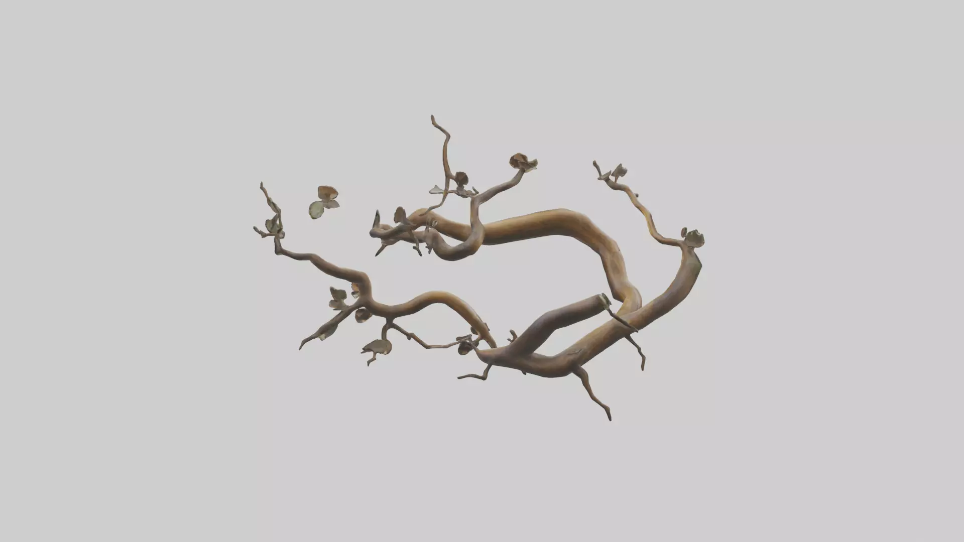 Organic Flow Branch Sculpture model 3D model_0