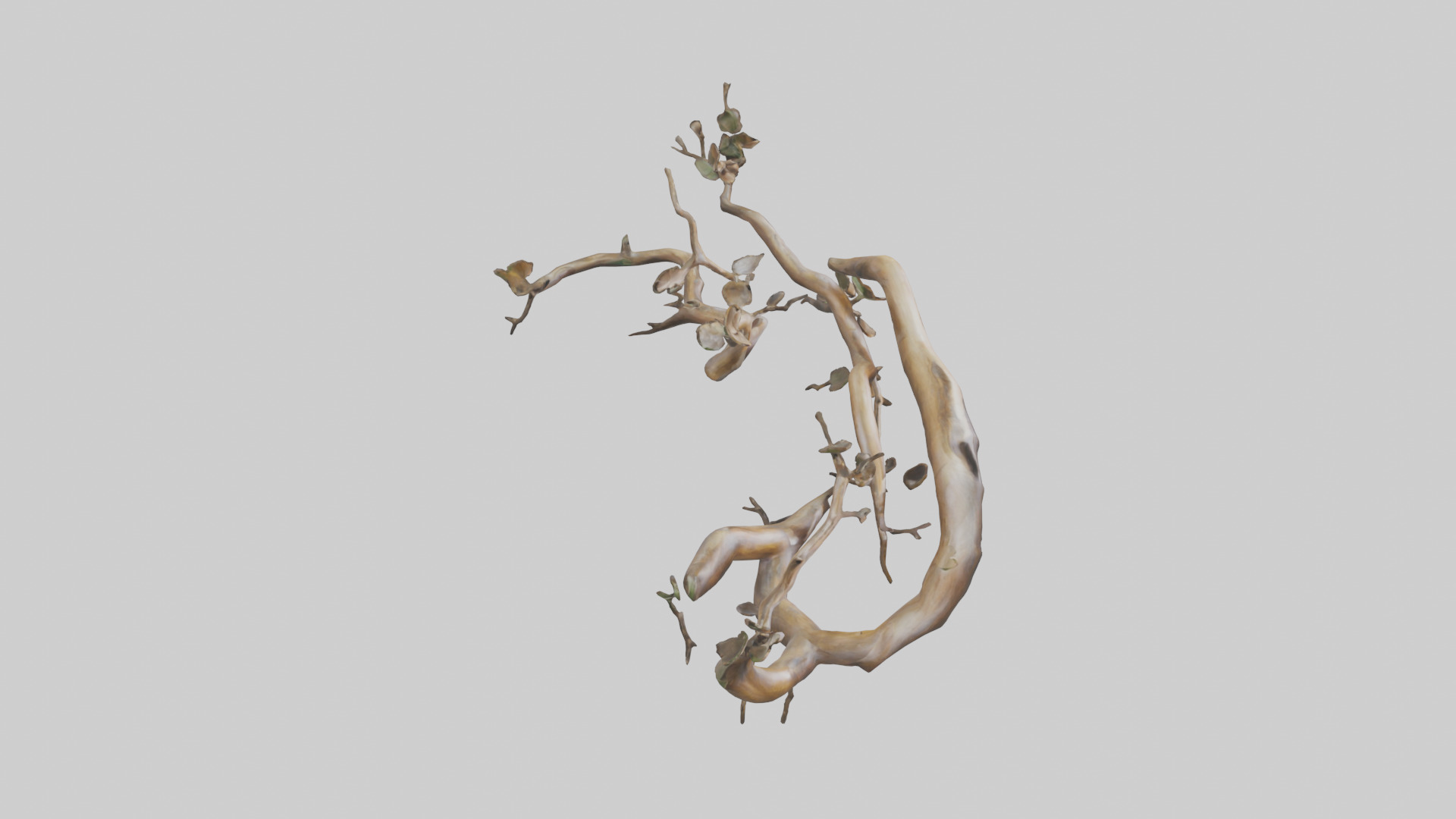Organic Flow Branch Sculpture model 3D model_18