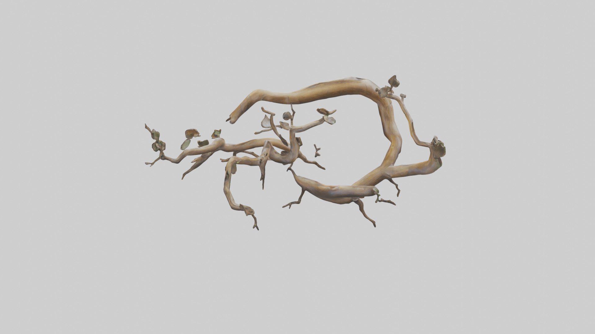 Organic Flow Branch Sculpture model 3D model_15