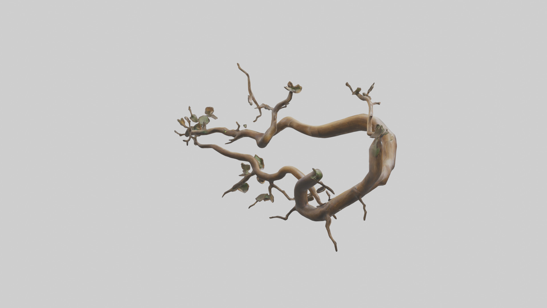 Organic Flow Branch Sculpture model 3D model_2